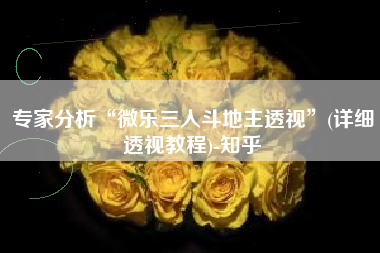 专家分析“微乐三人斗地主透视”(详细透视教程)-知乎