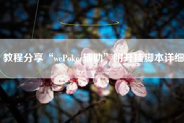 教程分享“wePoker辅助	”附开挂脚本详细