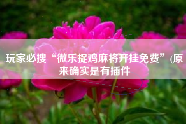 玩家必搜“微乐捉鸡麻将开挂免费”(原来确实是有插件