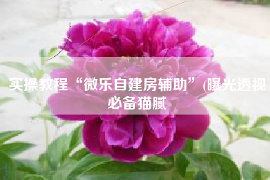实操教程“微乐自建房辅助	”(曝光透视必备猫腻