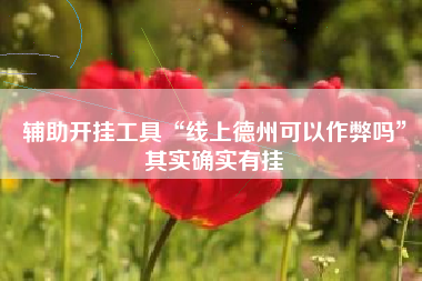 辅助开挂工具“线上德州可以作弊吗”其实确实有挂