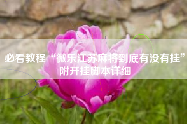 必看教程“微乐江苏麻将到底有没有挂	”附开挂脚本详细