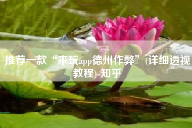 推荐一款“来玩app德州作弊	”(详细透视教程)-知乎