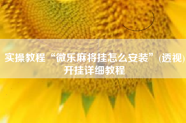 实操教程“微乐麻将挂怎么安装”(透视)开挂详细教程