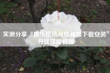 实测分享“微乐挖坑开挂神器下载安装”开挂详细教程