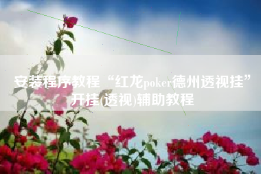 安装程序教程“红龙poker德州透视挂”开挂(透视)辅助教程