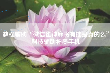 教程辅助“微信雀神麻将有挂是真的么”科技辅助神器手机