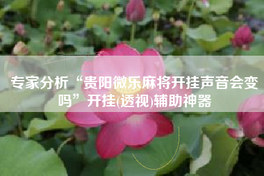 专家分析“贵阳微乐麻将开挂声音会变吗”开挂(透视)辅助神器