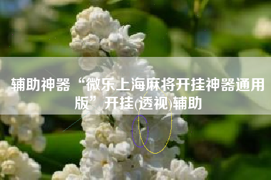 辅助神器“微乐上海麻将开挂神器通用版	”开挂(透视)辅助
