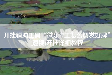 开挂辅助工具“微乐27王怎么调发好牌	”(透视)开挂详细教程