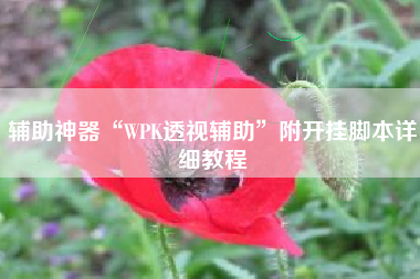 辅助神器“WPK透视辅助”附开挂脚本详细教程