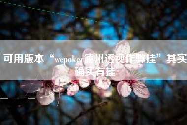 可用版本“wepoker德州透视作弊挂”其实确实有挂