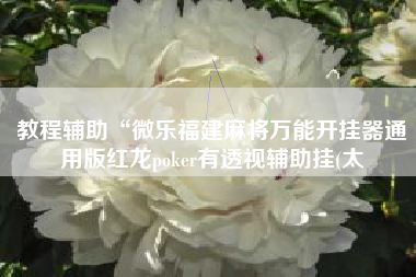 教程辅助“微乐福建麻将万能开挂器通用版红龙poker有透视辅助挂(太