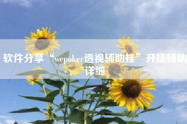 软件分享“wepoker透视辅助挂”开挂辅助详细