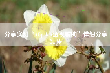 分享实测“AGpoker透视辅助	”详细分享装挂