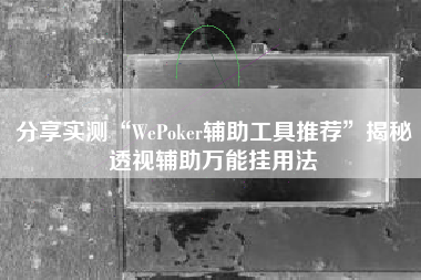 分享实测“WePoker辅助工具推荐”揭秘透视辅助万能挂用法