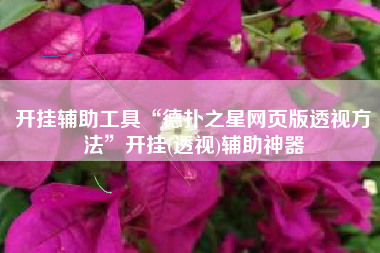 开挂辅助工具“德扑之星网页版透视方法”开挂(透视)辅助神器