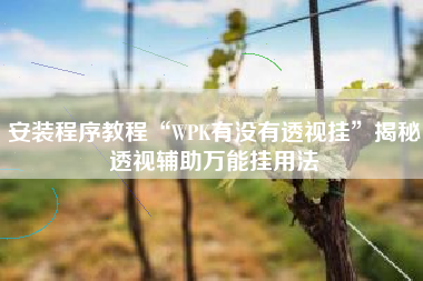 安装程序教程“WPK有没有透视挂”揭秘透视辅助万能挂用法