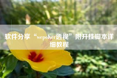 软件分享“wepoKer透视”附开挂脚本详细教程