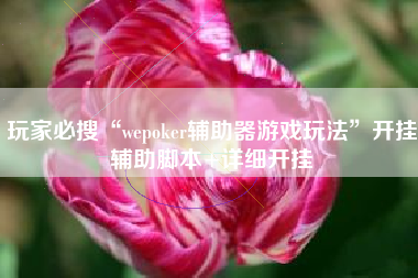 玩家必搜“wepoker辅助器游戏玩法”开挂辅助脚本+详细开挂