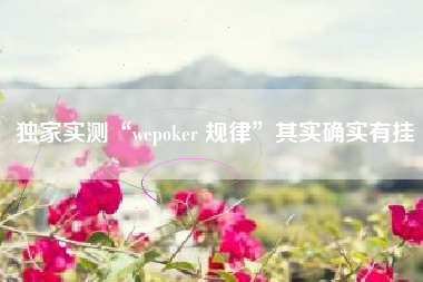 独家实测“wepoker 规律	”其实确实有挂