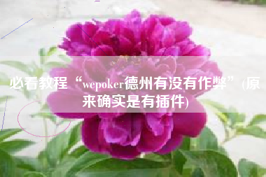 必看教程“wepoker德州有没有作弊	”(原来确实是有插件)