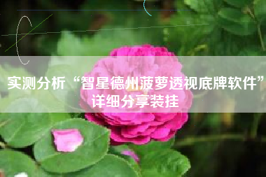 实测分析“智星德州菠萝透视底牌软件”详细分享装挂