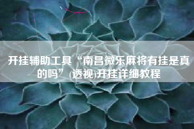 开挂辅助工具“南昌微乐麻将有挂是真的吗	”(透视)开挂详细教程