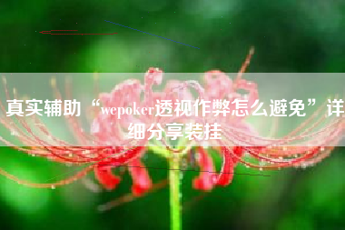 真实辅助“wepoker透视作弊怎么避免	”详细分享装挂
