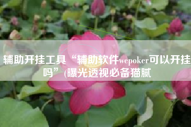 辅助开挂工具“辅助软件wepoker可以开挂吗	”(曝光透视必备猫腻
