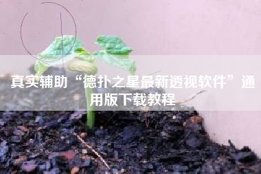 真实辅助“德扑之星最新透视软件”通用版下载教程