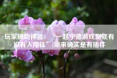 玩家辅助神器：“一起宁德游戏到底有没有人用挂”(原来确实是有插件