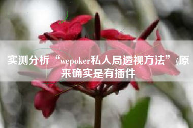 实测分析“wepoker私人局透视方法	”(原来确实是有插件