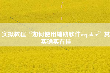 实操教程“如何使用辅助软件wepoker”其实确实有挂