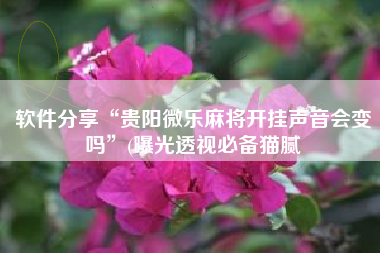 软件分享“贵阳微乐麻将开挂声音会变吗	”(曝光透视必备猫腻