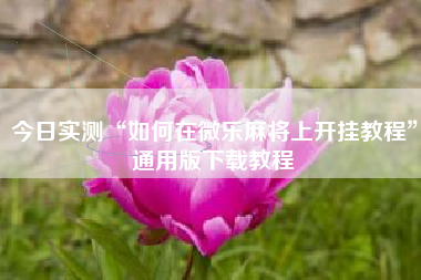 今日实测“如何在微乐麻将上开挂教程	”通用版下载教程