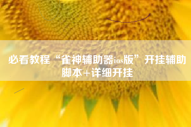 必看教程“雀神辅助器ios版”开挂辅助脚本+详细开挂