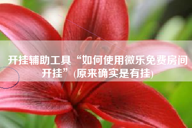 开挂辅助工具“如何使用微乐免费房间开挂	”(原来确实是有挂)