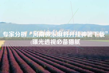 专家分析“河南微乐麻将开挂神器下载”(曝光透视必备猫腻