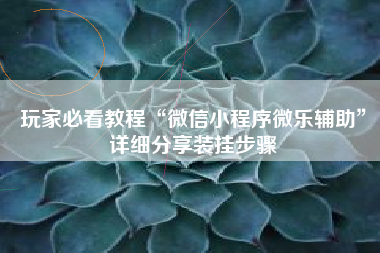 玩家必看教程“微信小程序微乐辅助	”详细分享装挂步骤