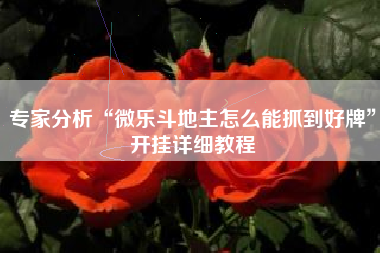 专家分析“微乐斗地主怎么能抓到好牌	”开挂详细教程