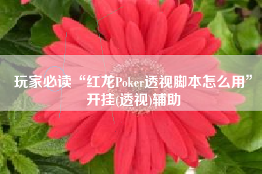 玩家必读“红龙Poker透视脚本怎么用”开挂(透视)辅助