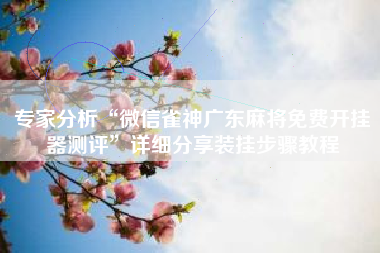 专家分析“微信雀神广东麻将免费开挂器测评”详细分享装挂步骤教程