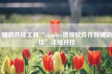 辅助开挂工具“wepoker透视软件作弊辅助挂	”详细开挂