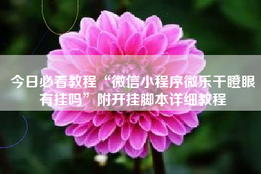 今日必看教程“微信小程序微乐干瞪眼有挂吗	”附开挂脚本详细教程