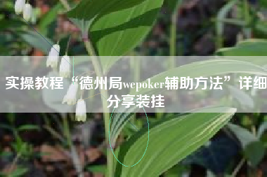 实操教程“德州局wepoker辅助方法	”详细分享装挂