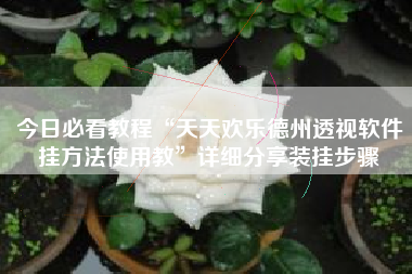 今日必看教程“天天欢乐德州透视软件挂方法使用教	”详细分享装挂步骤