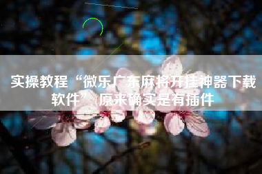 实操教程“微乐广东麻将开挂神器下载软件	”(原来确实是有插件