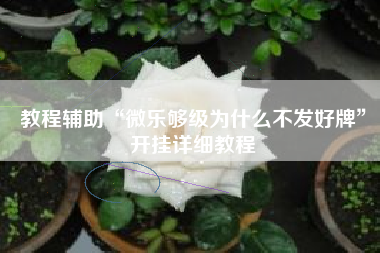 教程辅助“微乐够级为什么不发好牌	”开挂详细教程