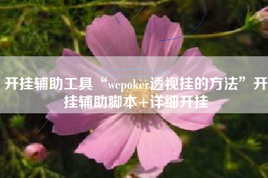 开挂辅助工具“wepoker透视挂的方法”开挂辅助脚本+详细开挂